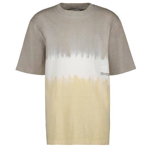 Raizzed Jungen T-Shirt HAYES grey fog